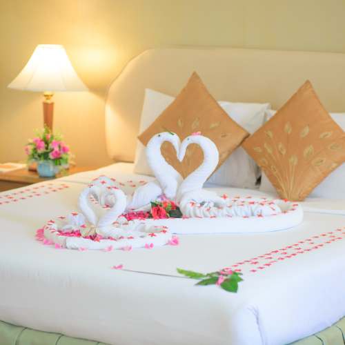 Perfect Honeymoon Package (VIP Private) (5)