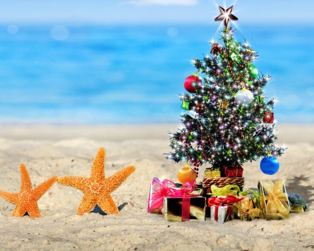 goa christmas tour